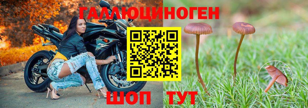 Псилоцибиновые грибы ЛСД Свободный