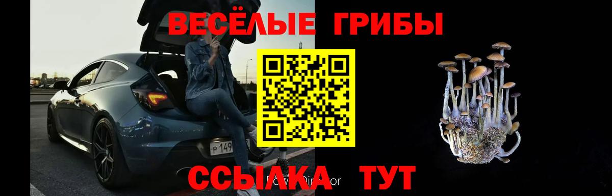 Свободный  Галлюциногенные грибы GOLDEN TEACHER  Вход с VPN 